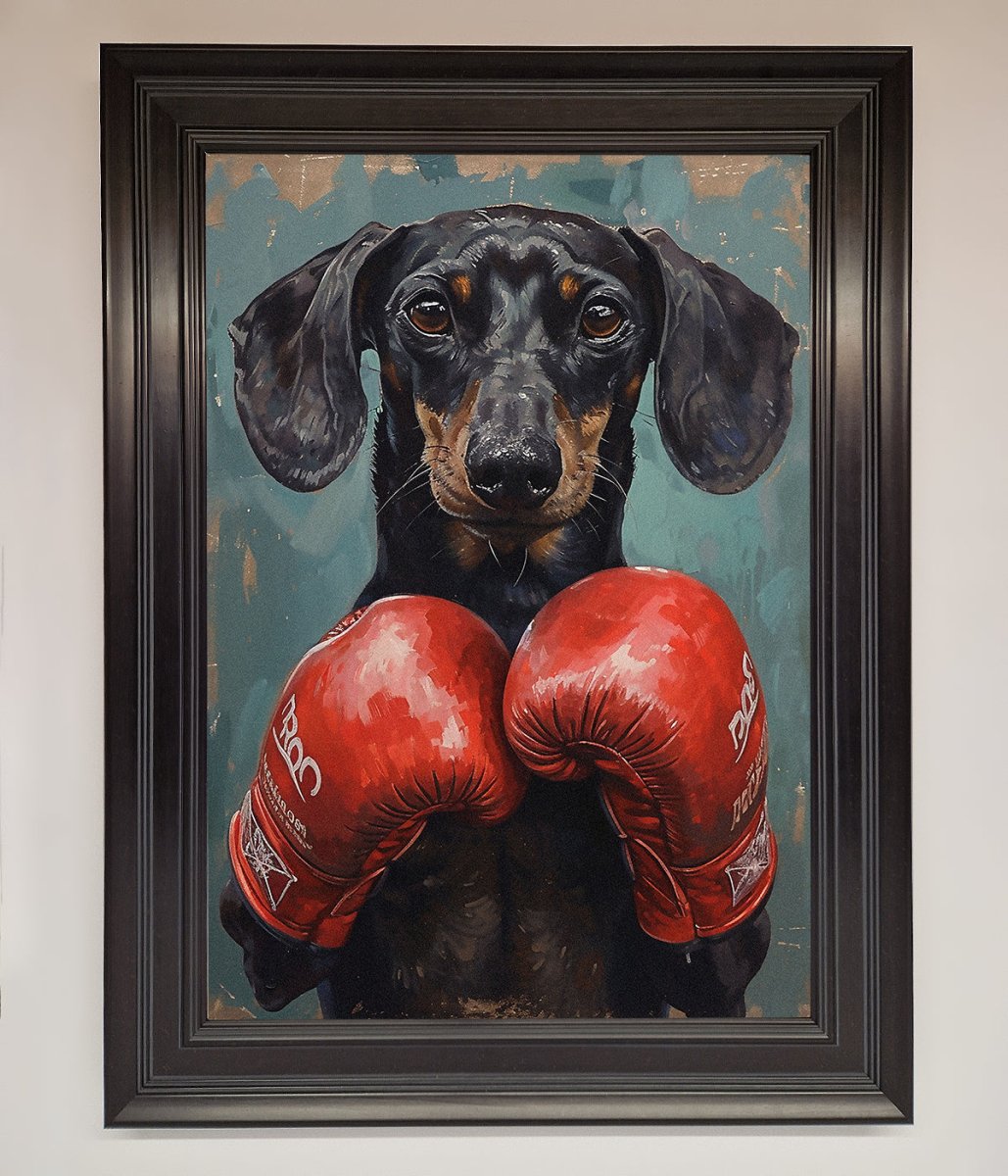 Sausage Dog Boxing Framed Print