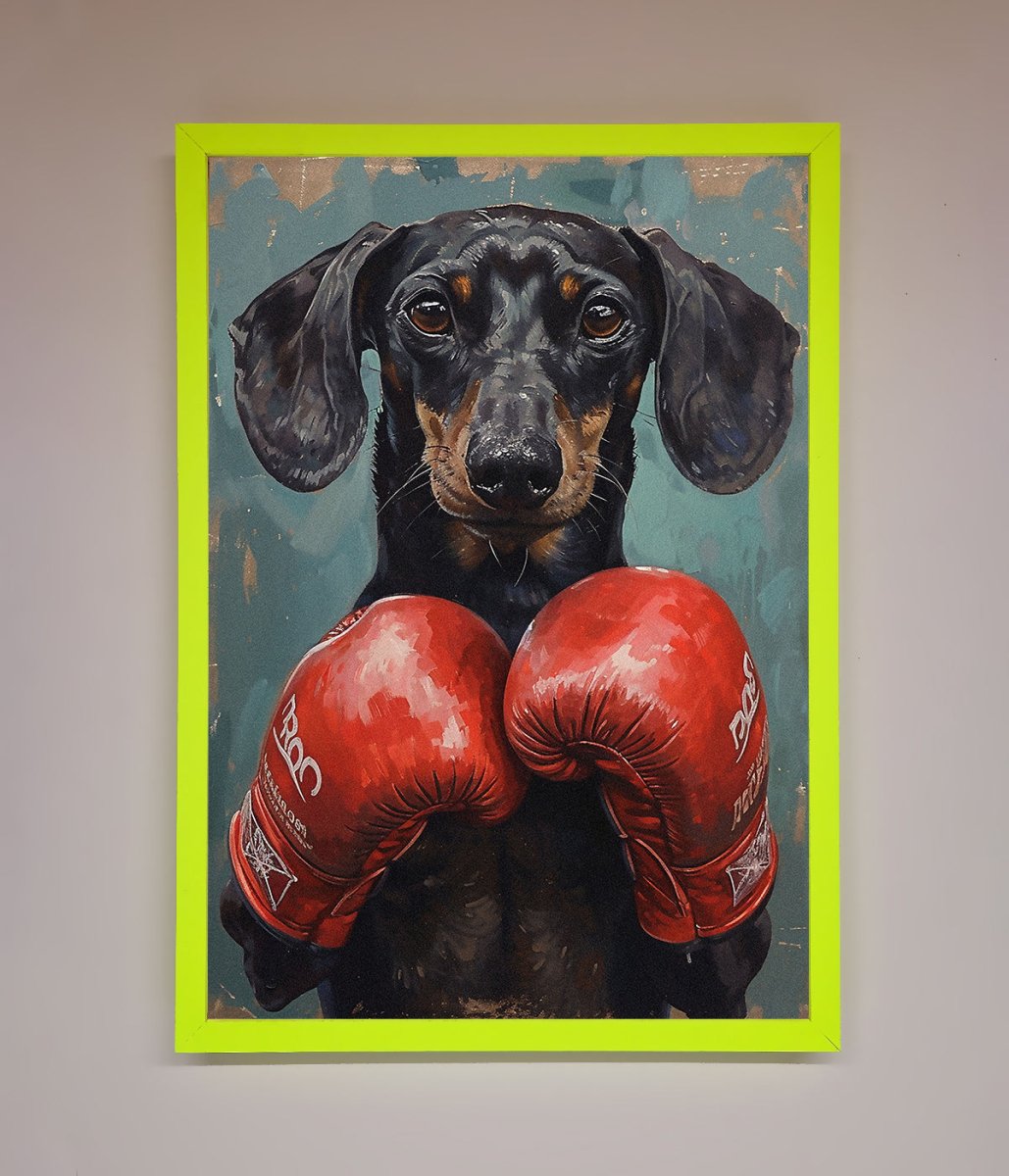 Sausage Dog Boxing Framed Print
