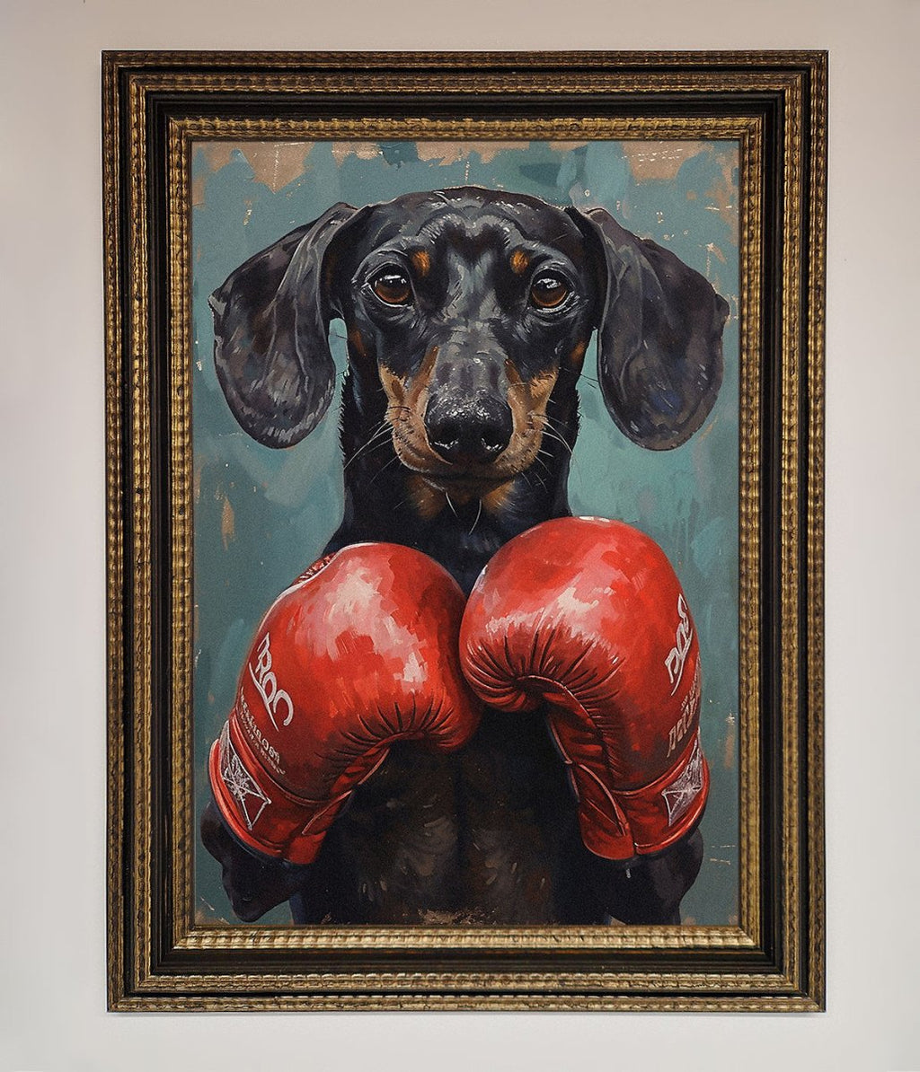 Sausage Dog Boxing Framed Print
