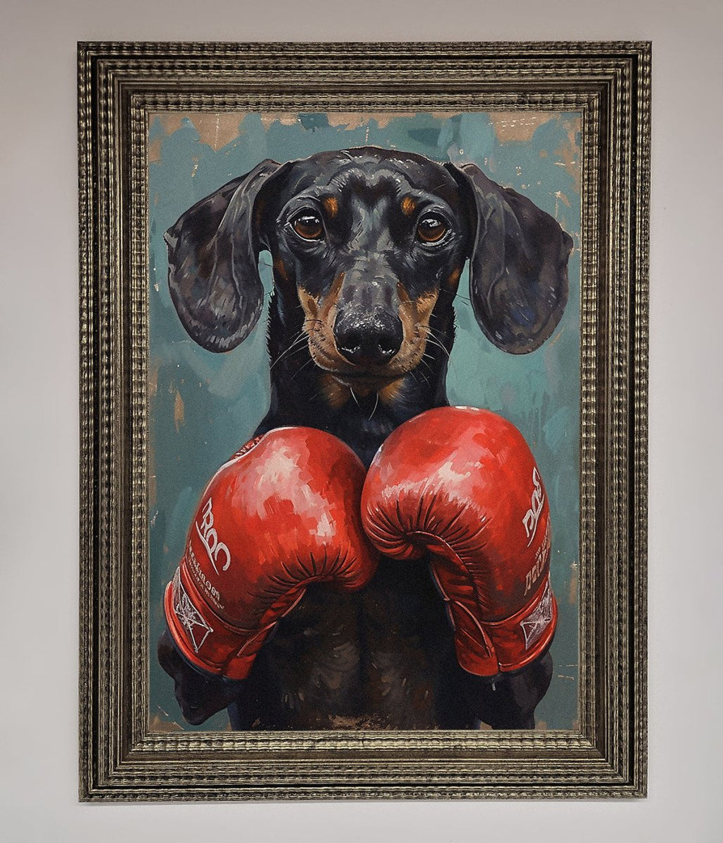 Sausage Dog Boxing Framed Print
