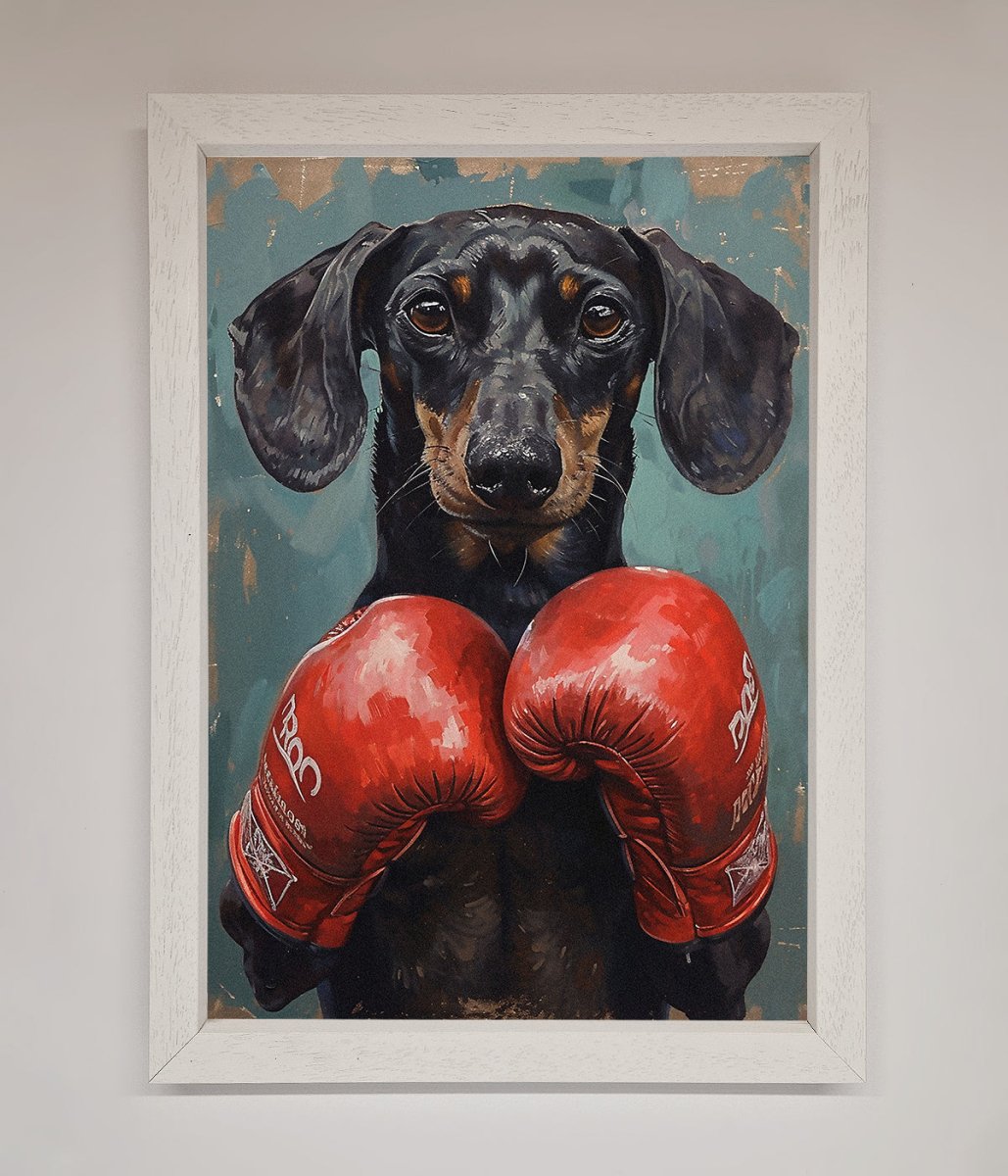 Sausage Dog Boxing Framed Print