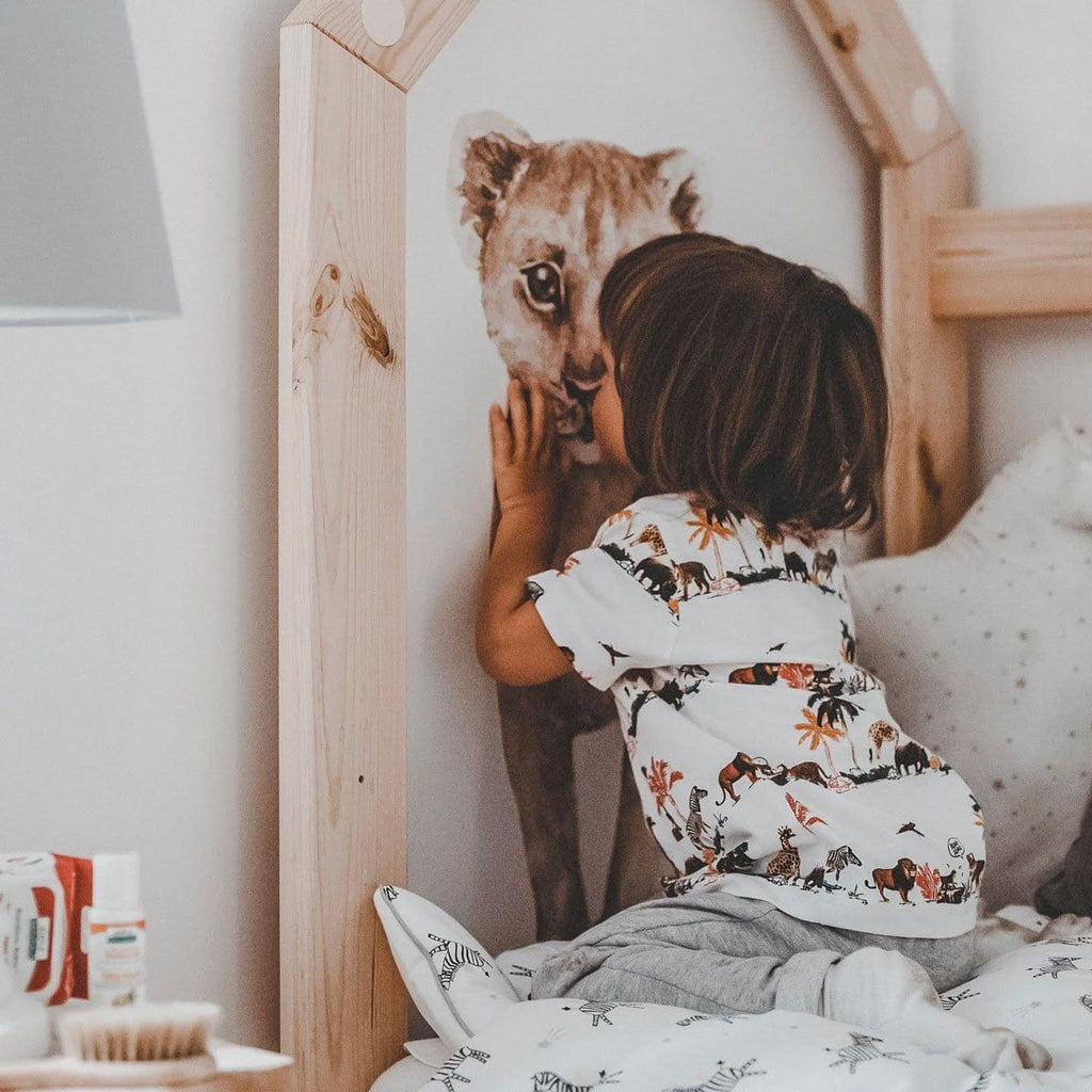 a close-up of the lemur and toucan from the savanna wonderland wallstickers set