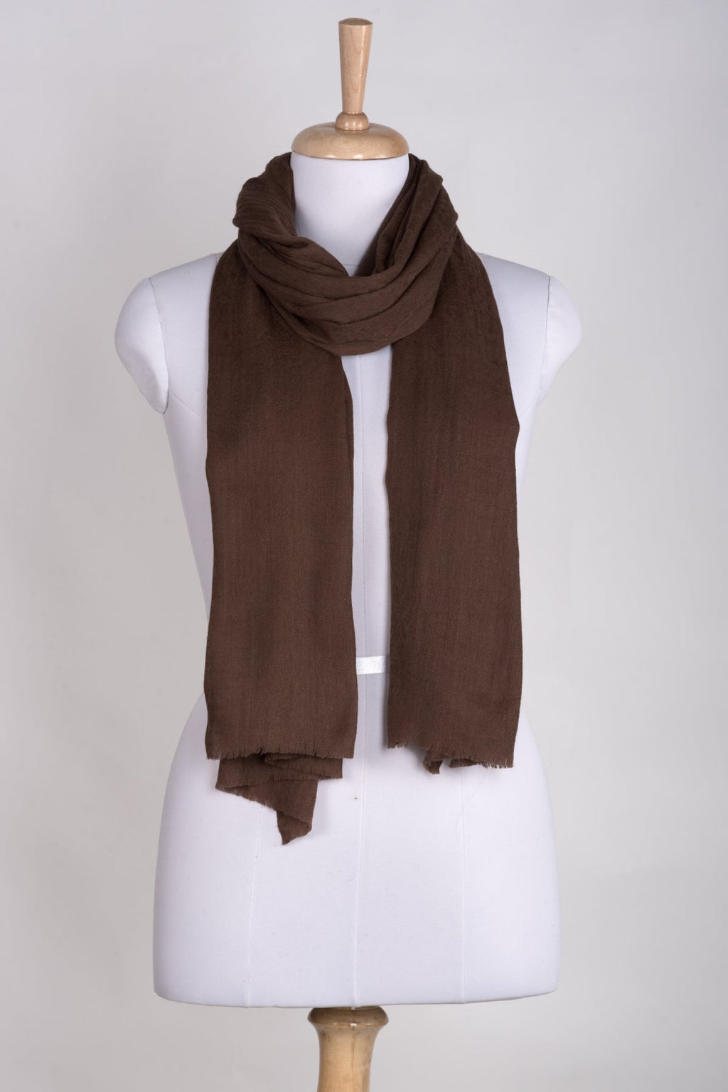Paisley Jacquard Cashmere Wool Scarf in Brown
