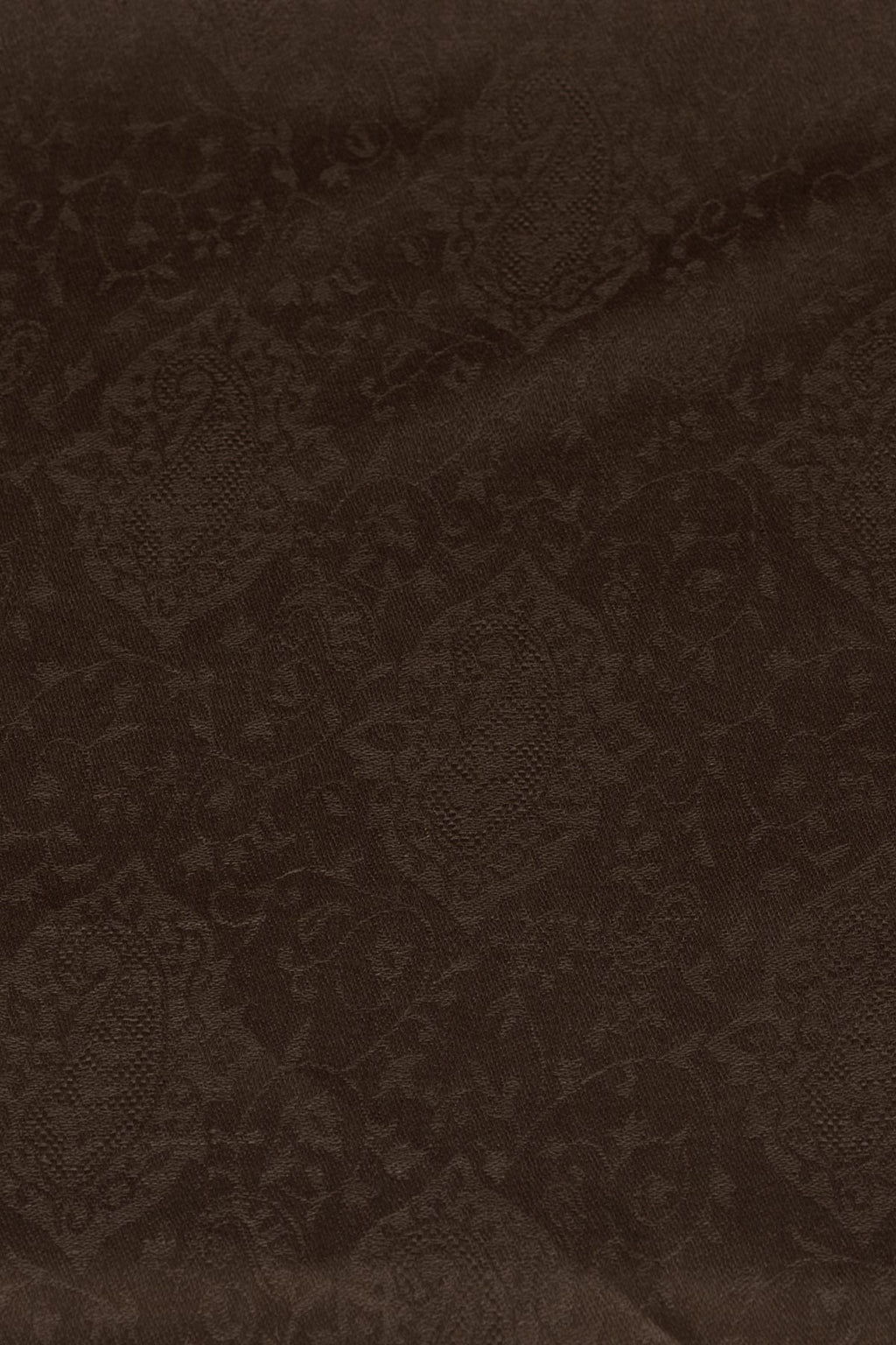 Paisley Jacquard Cashmere Wool Scarf in Brown