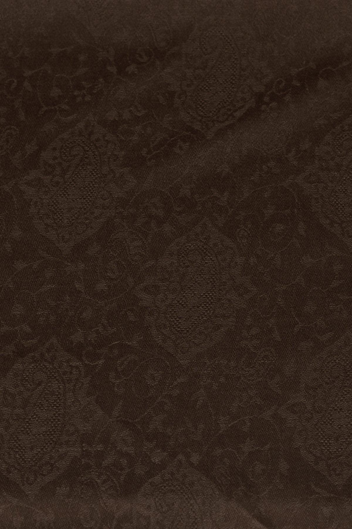 Paisley Jacquard Cashmere Wool Scarf in Brown