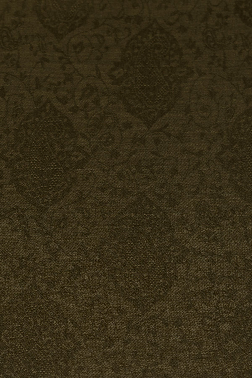 Paisley Jacquard Weave Cashmere Wool Scarf in Olive