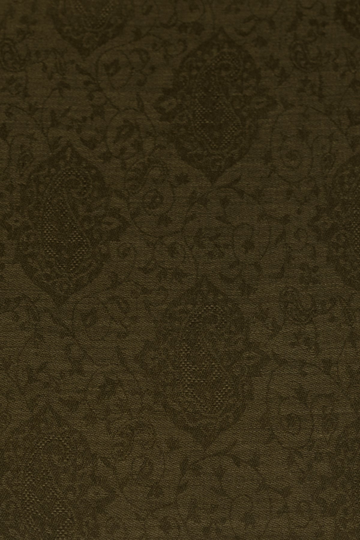 Paisley Jacquard Weave Cashmere Wool Scarf in Olive