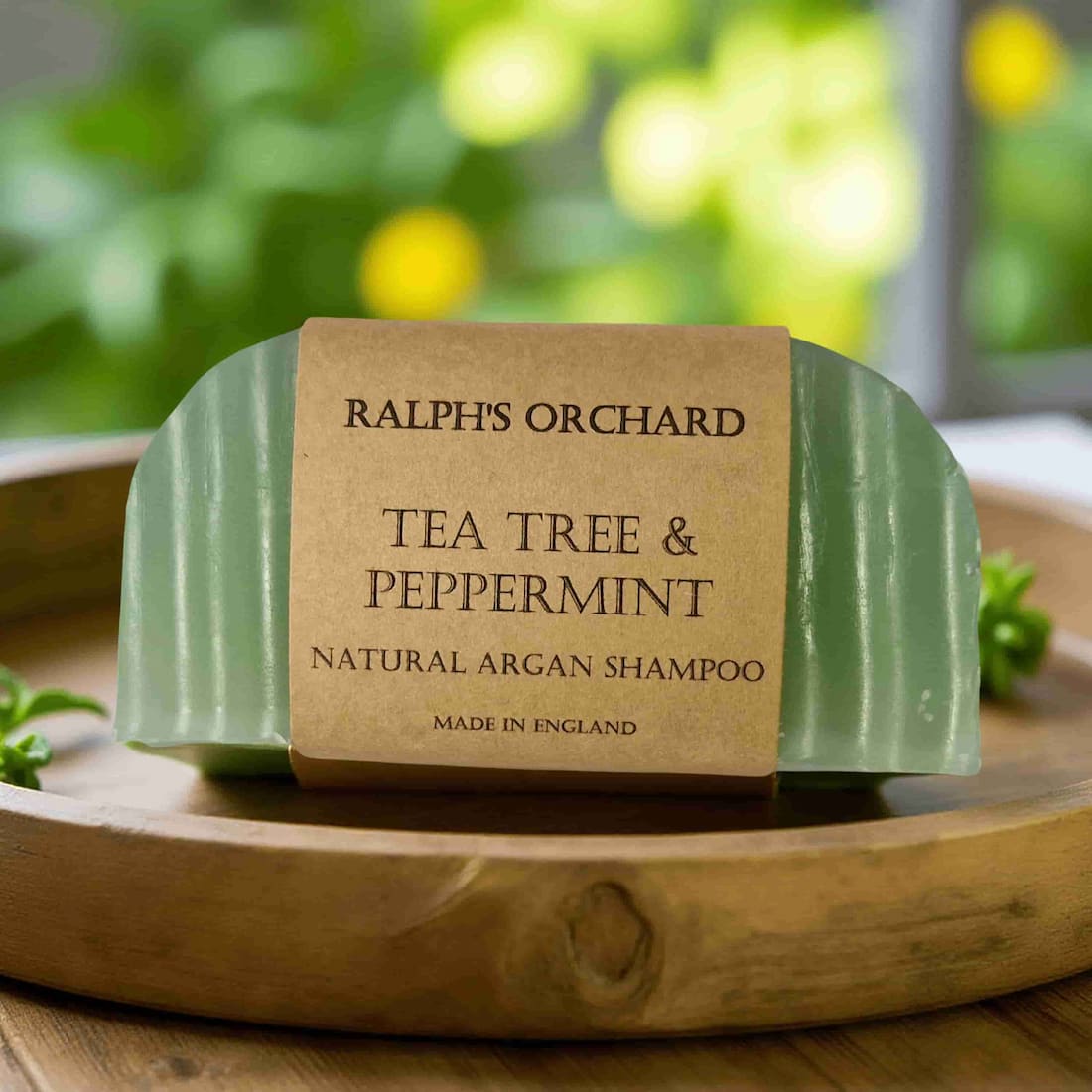 Solid Shampoo Bars with Argan Oil