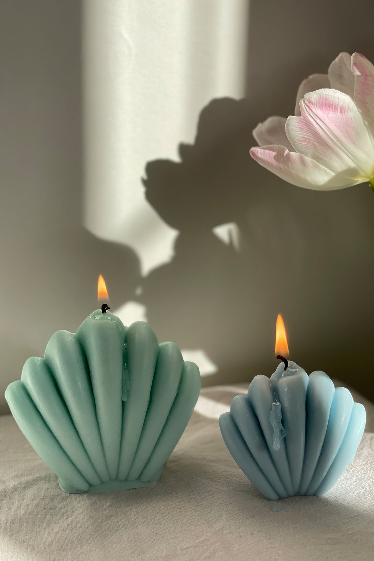 Shell Shaped Candle in Pastel Colours
