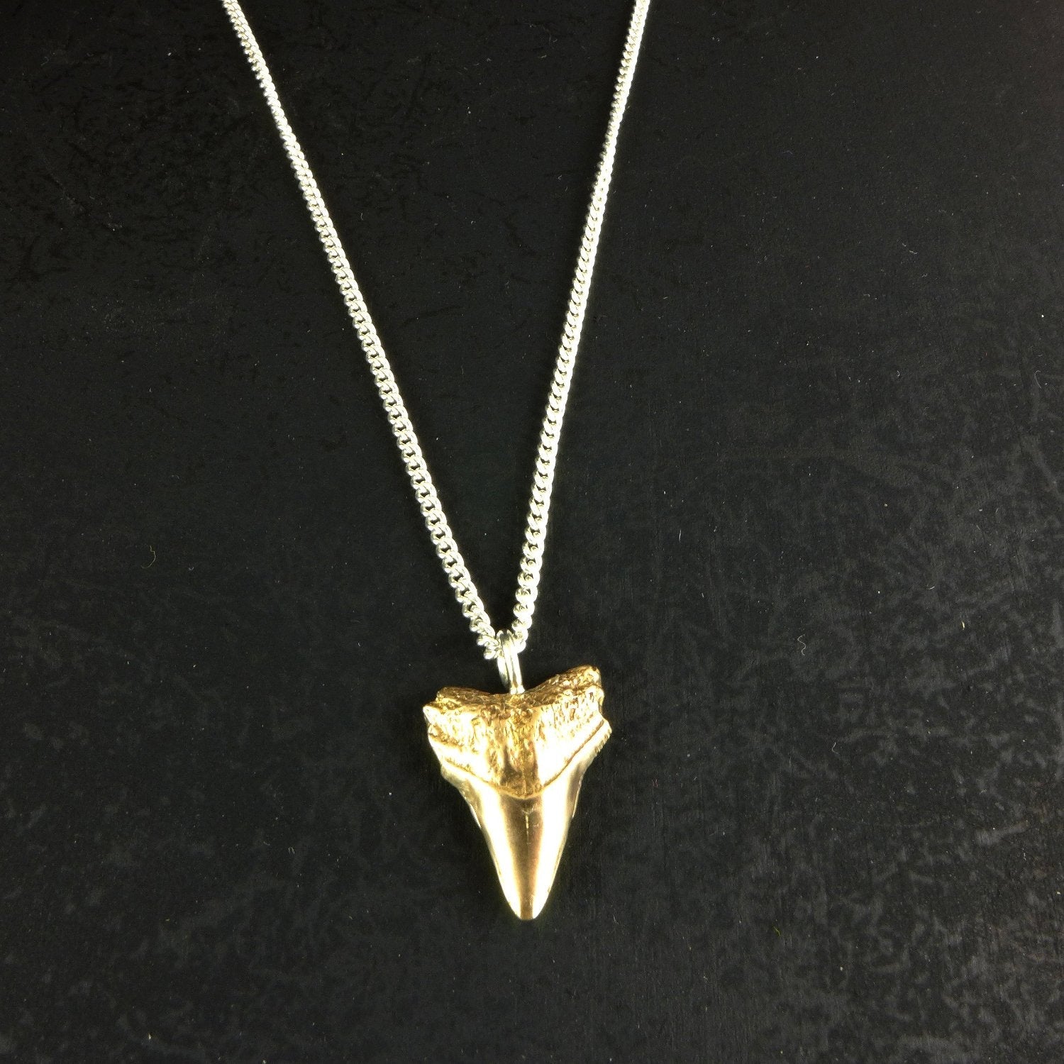 Sharks tooth necklace