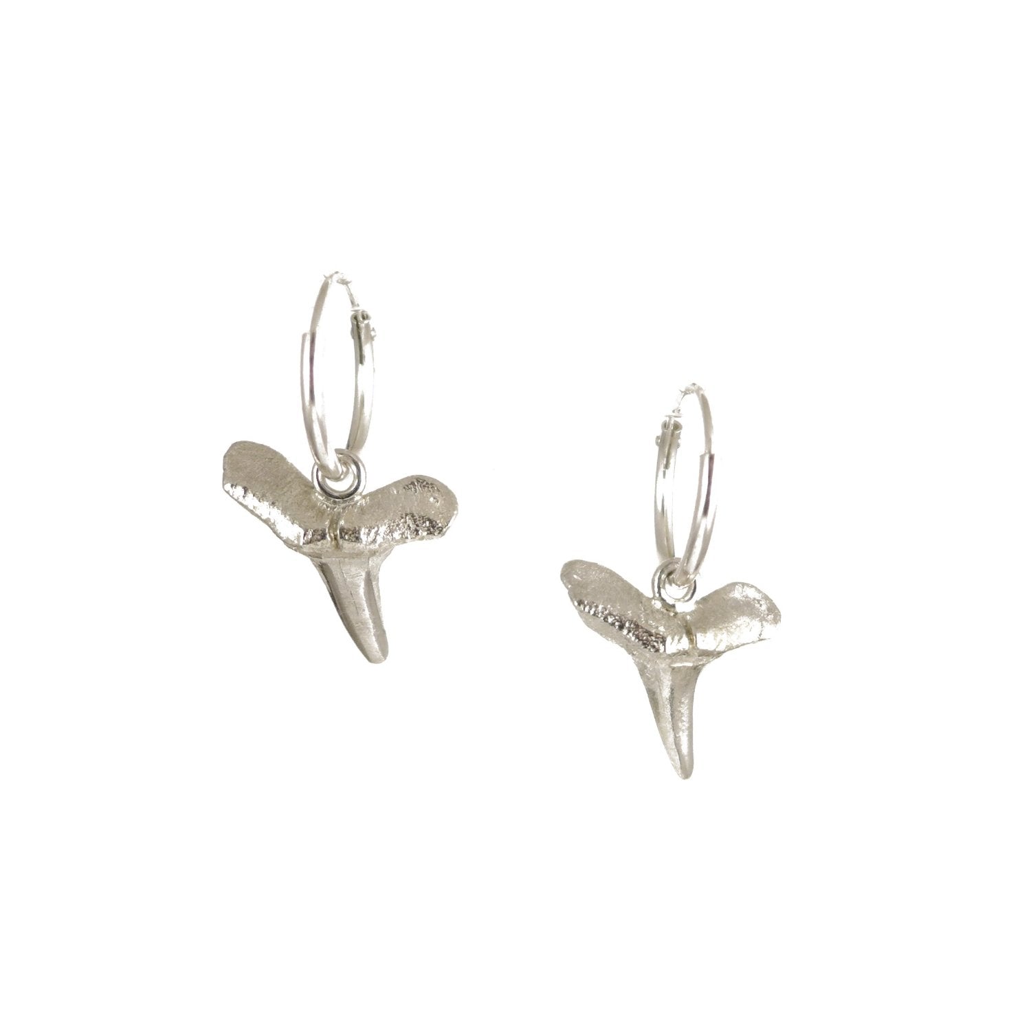 Sharks Tooth Earrings