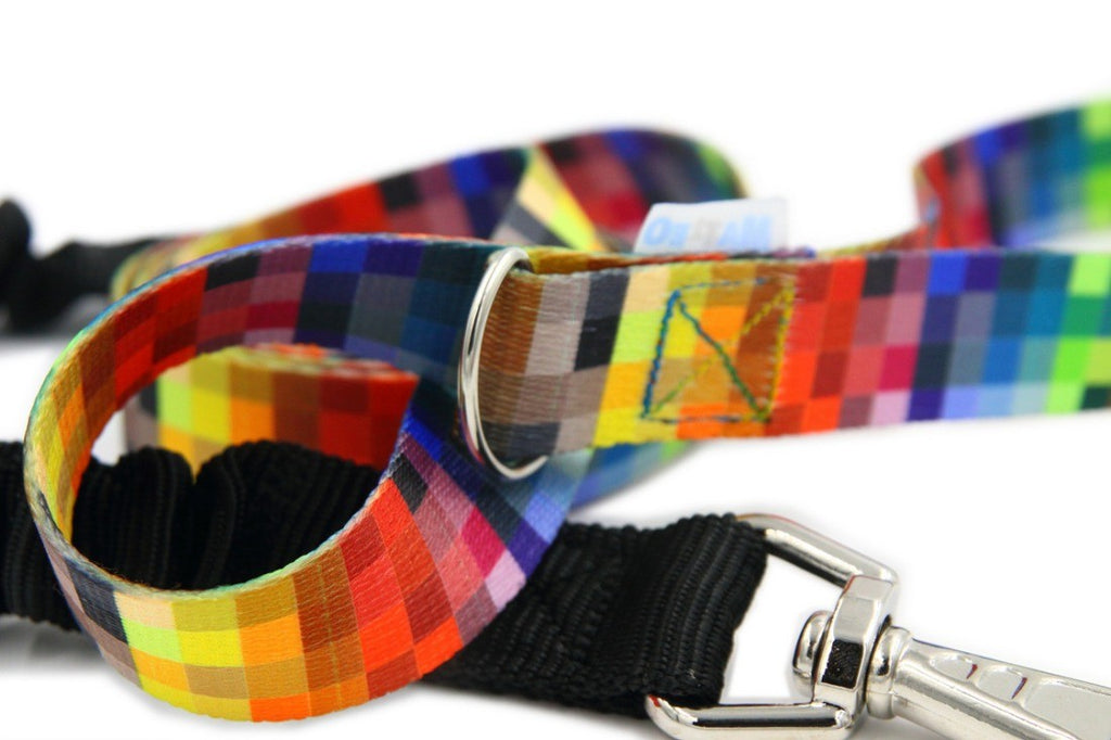 bold close-up of a shock absorbing dog leash with its innovative bungee core on display