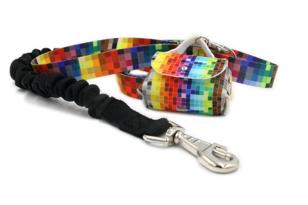 softly lit shock absorbing dog leash with a gentle curve on a calming neutral background