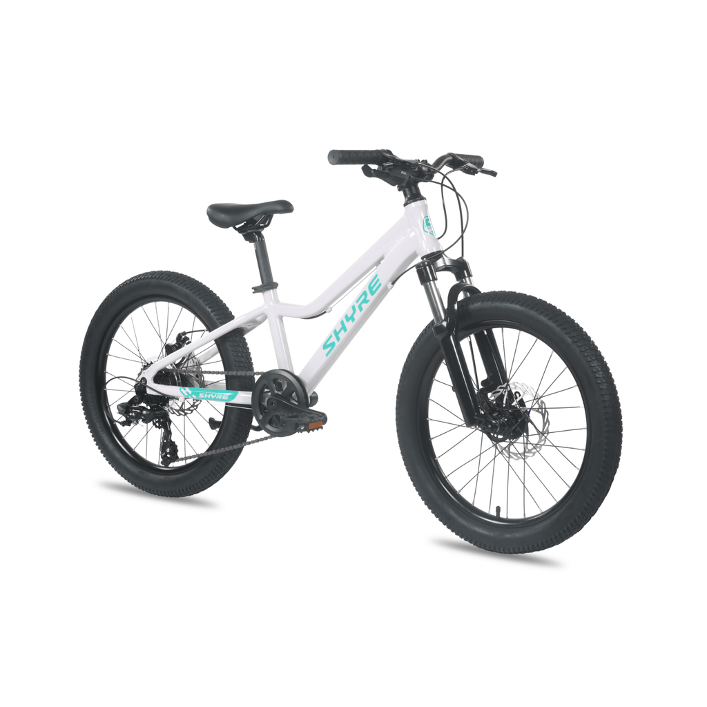 Eastie 20 Inch Wheel Kids Mountain Bike