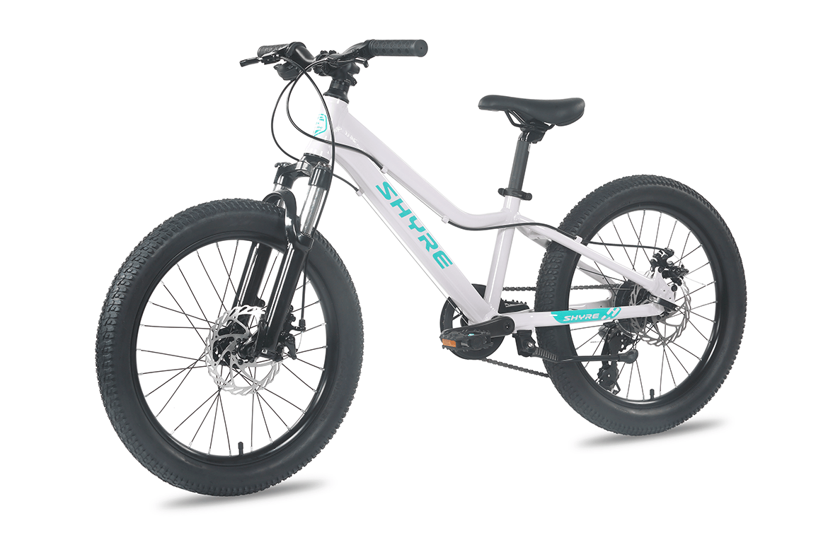 Eastie 20 Inch Wheel Kids Mountain Bike