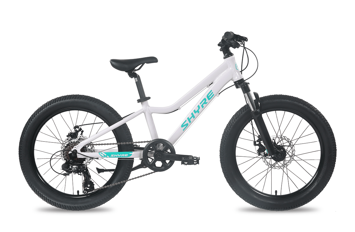 Eastie 20 Inch Wheel Kids Mountain Bike