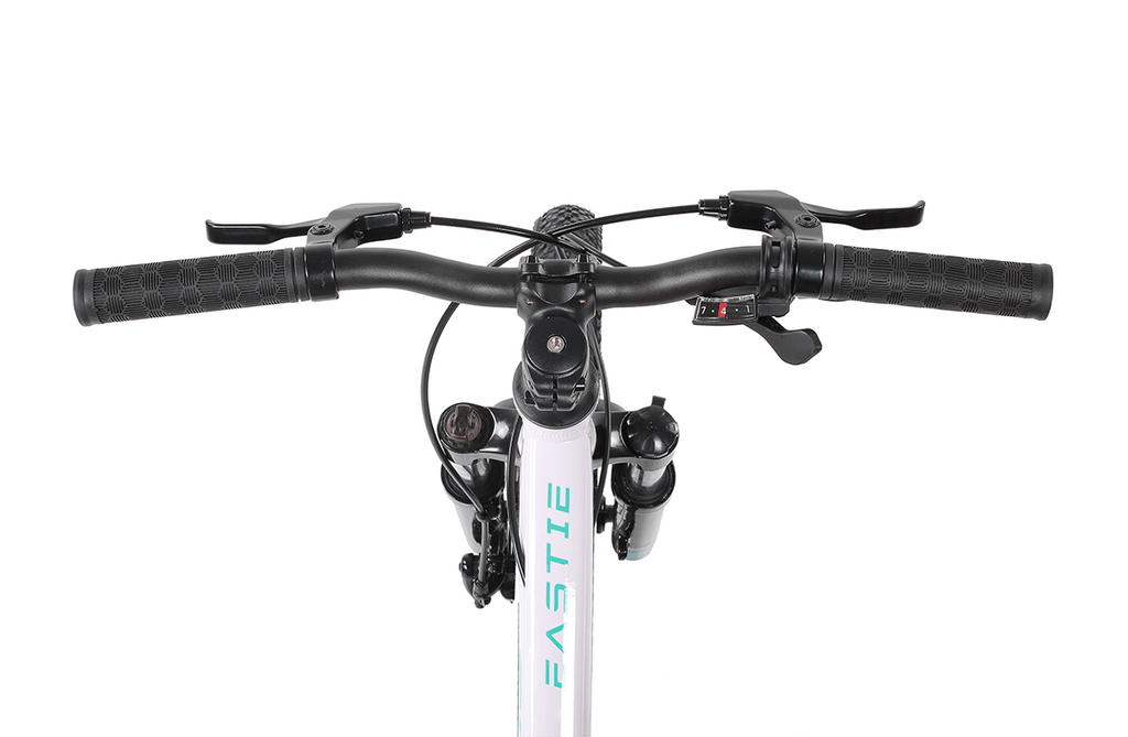 Eastie 20 Inch Wheel Kids Mountain Bike