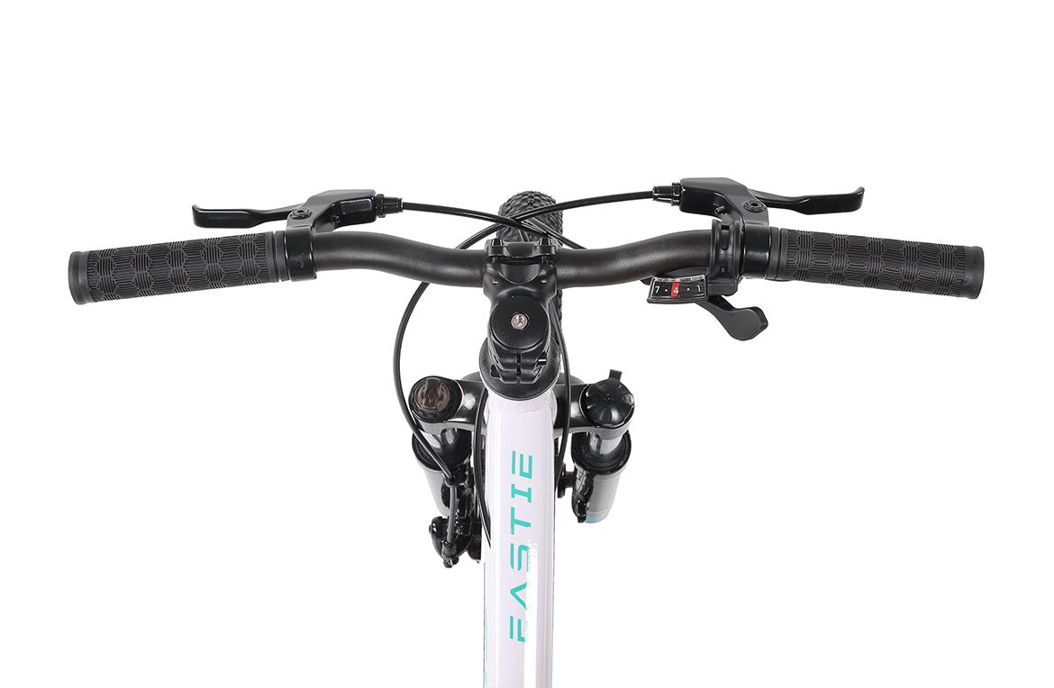 Eastie 20 Inch Wheel Kids Mountain Bike