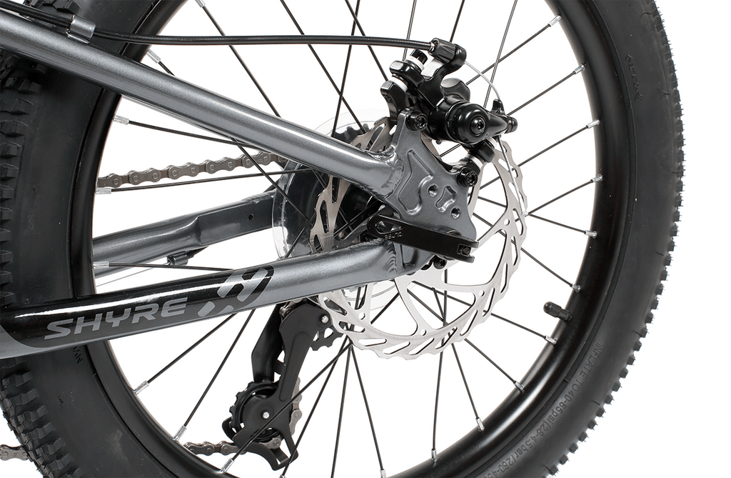 Eastie 20 Inch Wheel Kids Mountain Bike