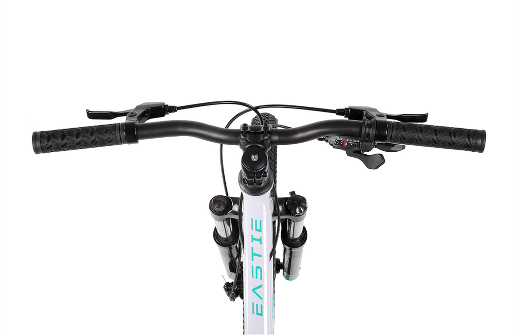 26 Inch Wheel Kids Mountain Bike for Ages 10 Plus