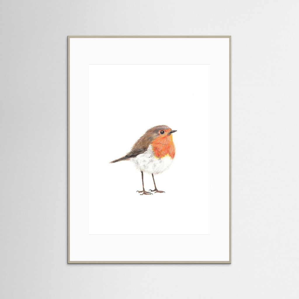 Robin Art Print Wildlife Wall Art for Nature Lovers