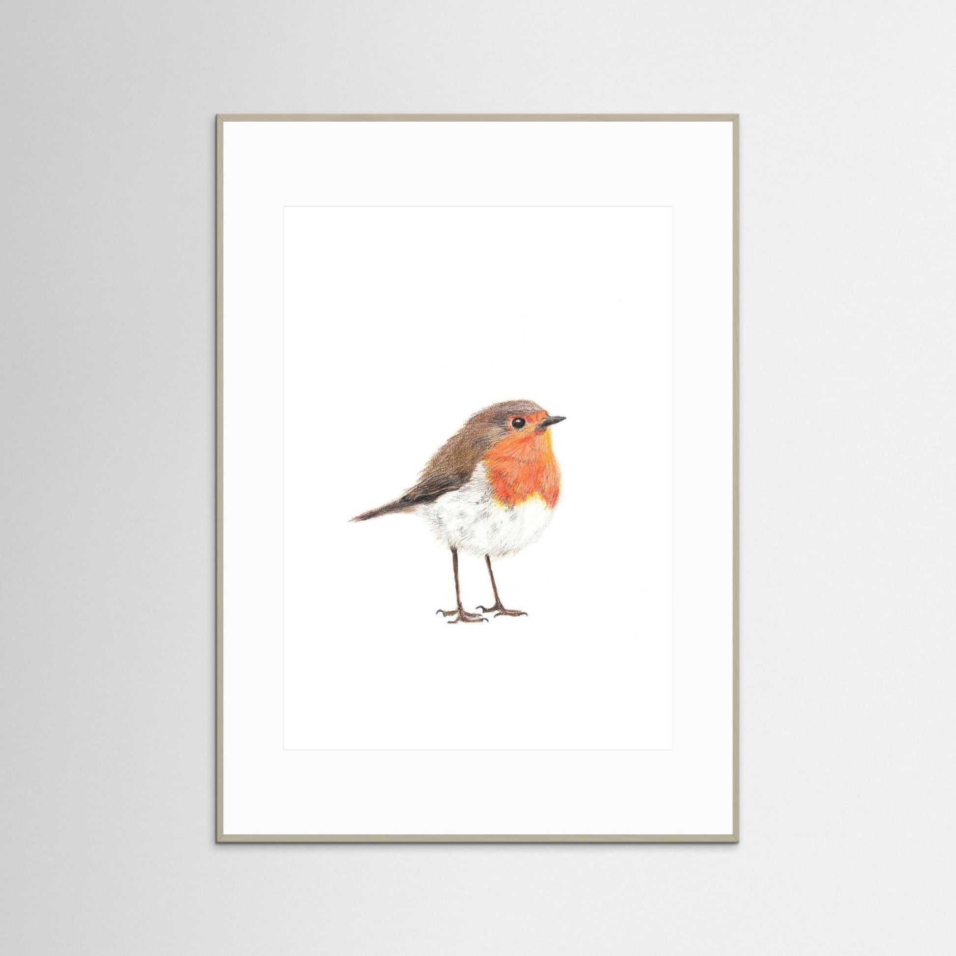 Robin Art Print Wildlife Wall Art for Nature Lovers