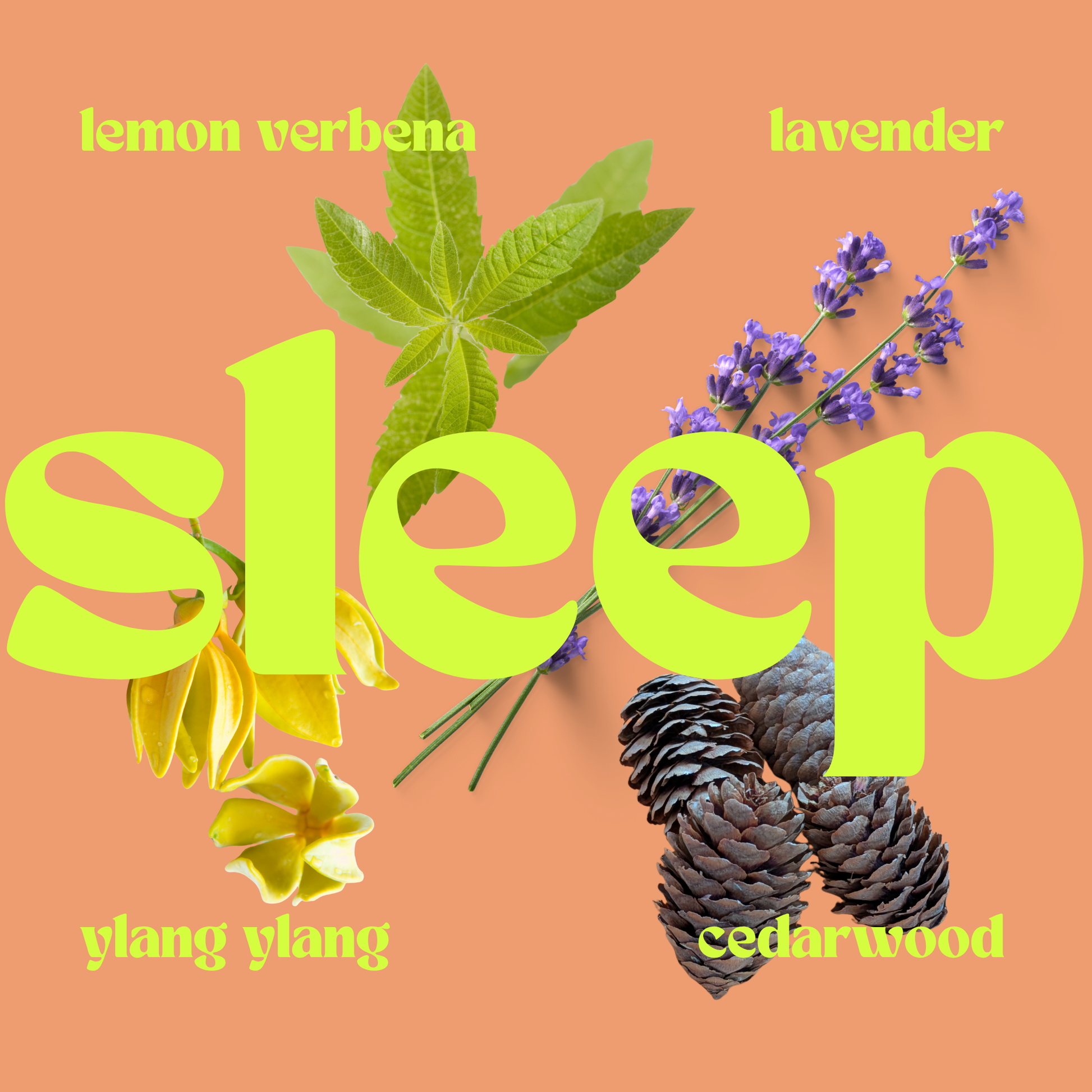 Large Candle Refill 365g