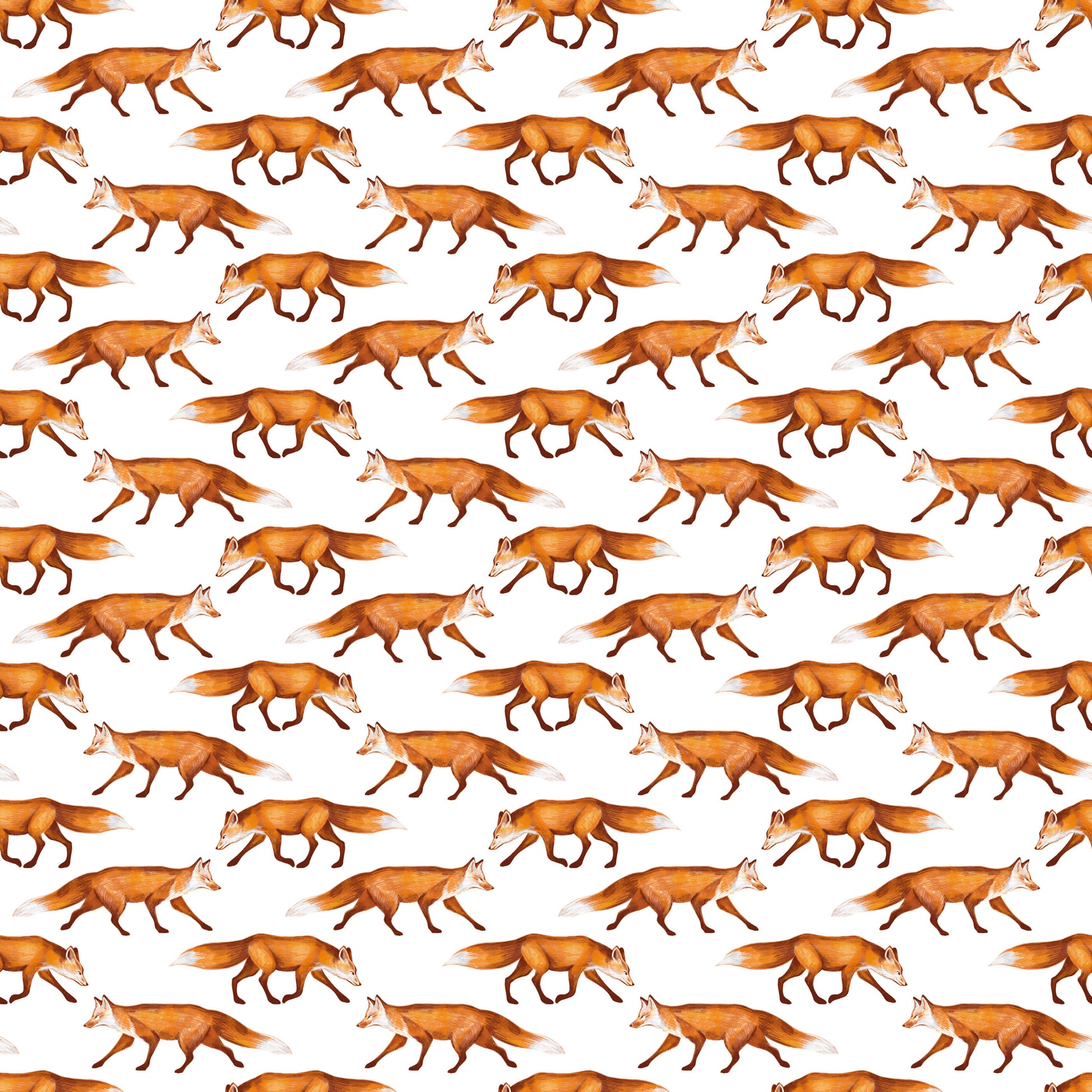Slink Fox Wallpaper