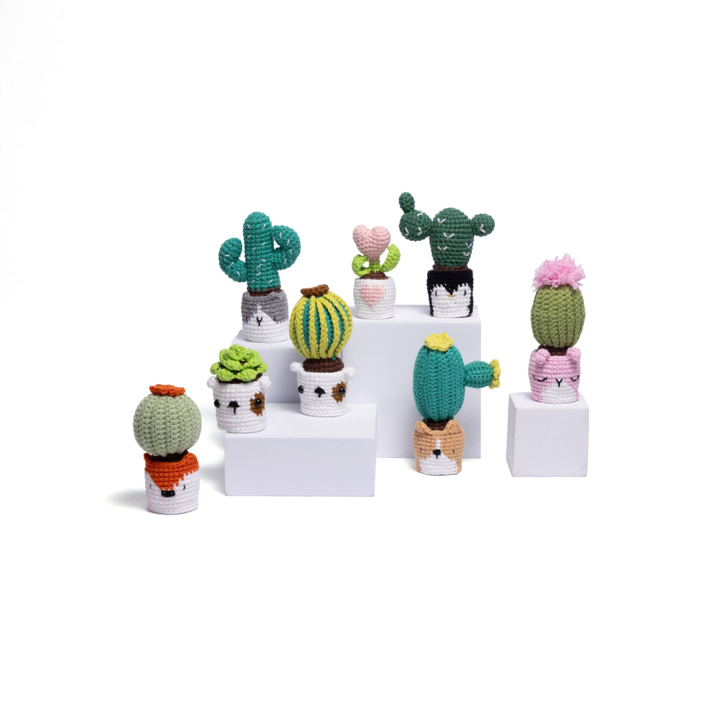 Handmade Crochet Cactus Family Collection Five New Friends