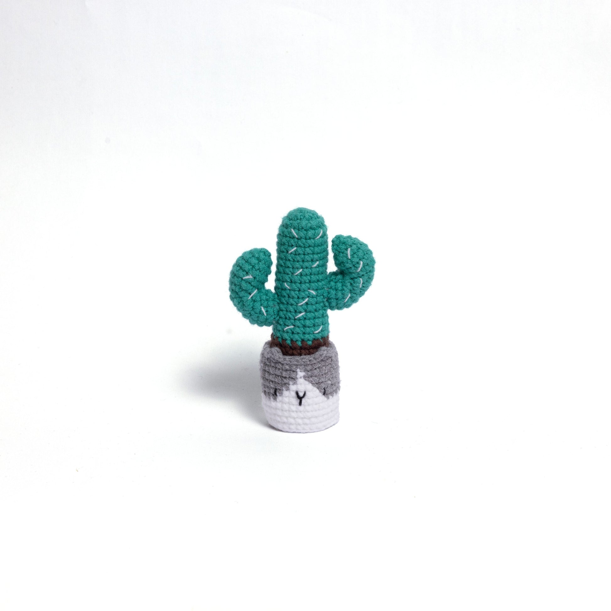 Handmade Crochet Cactus Family Collection Five New Friends