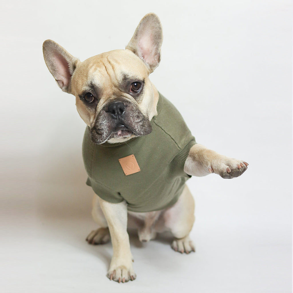 Smile Jumper in Emerald Green and Olive