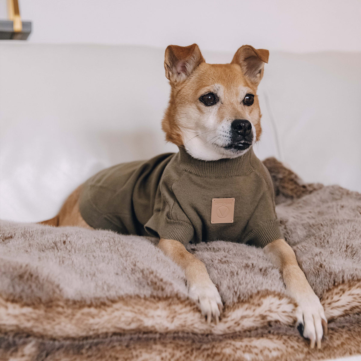 Smile Jumper in Emerald Green and Olive