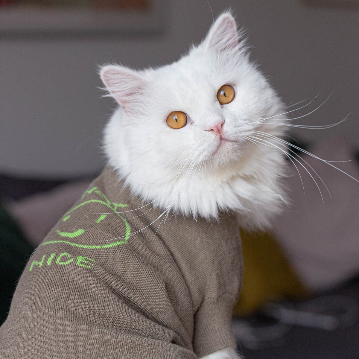 Smile Jumper in Emerald Green and Olive