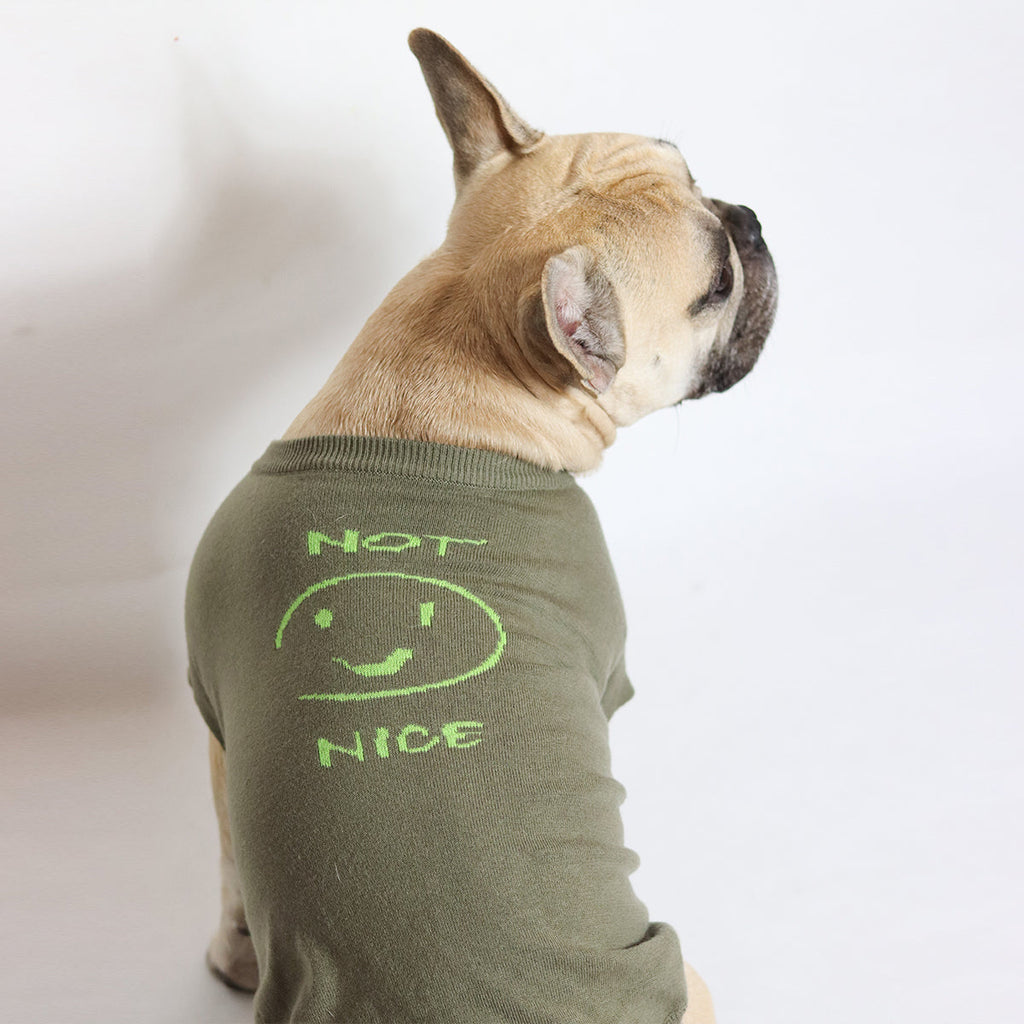 Smile Jumper in Emerald Green and Olive