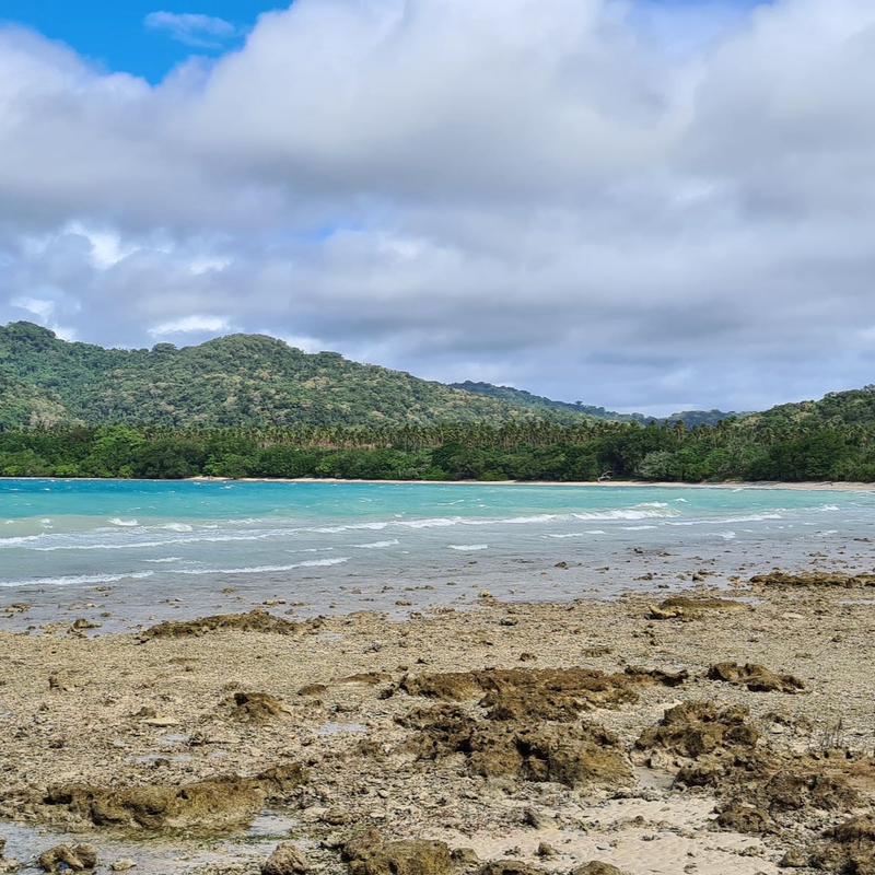 Ceremonial Cacao from the Solomon Islands
