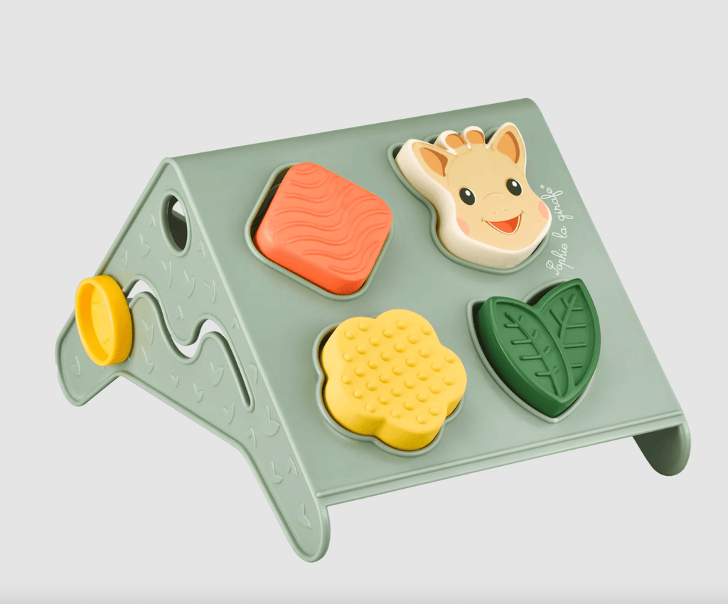 My First Toys to Handle - Balancing Abacus and Shape Sorter Set