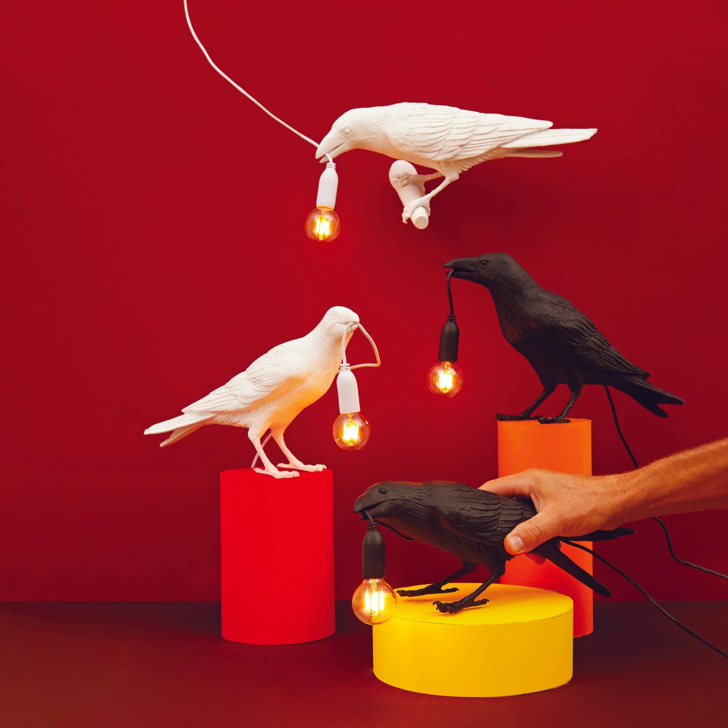 Shop lighting from independent brands at sostter