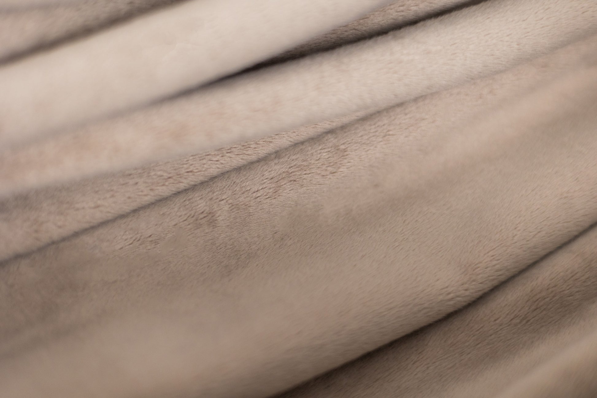 Feather Dream Hammock