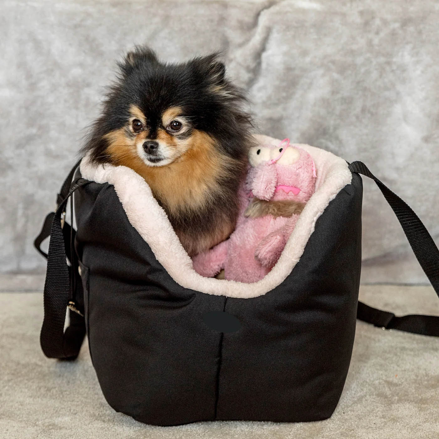 Black and Beige Luxury Rainy Bear Dog Carrier