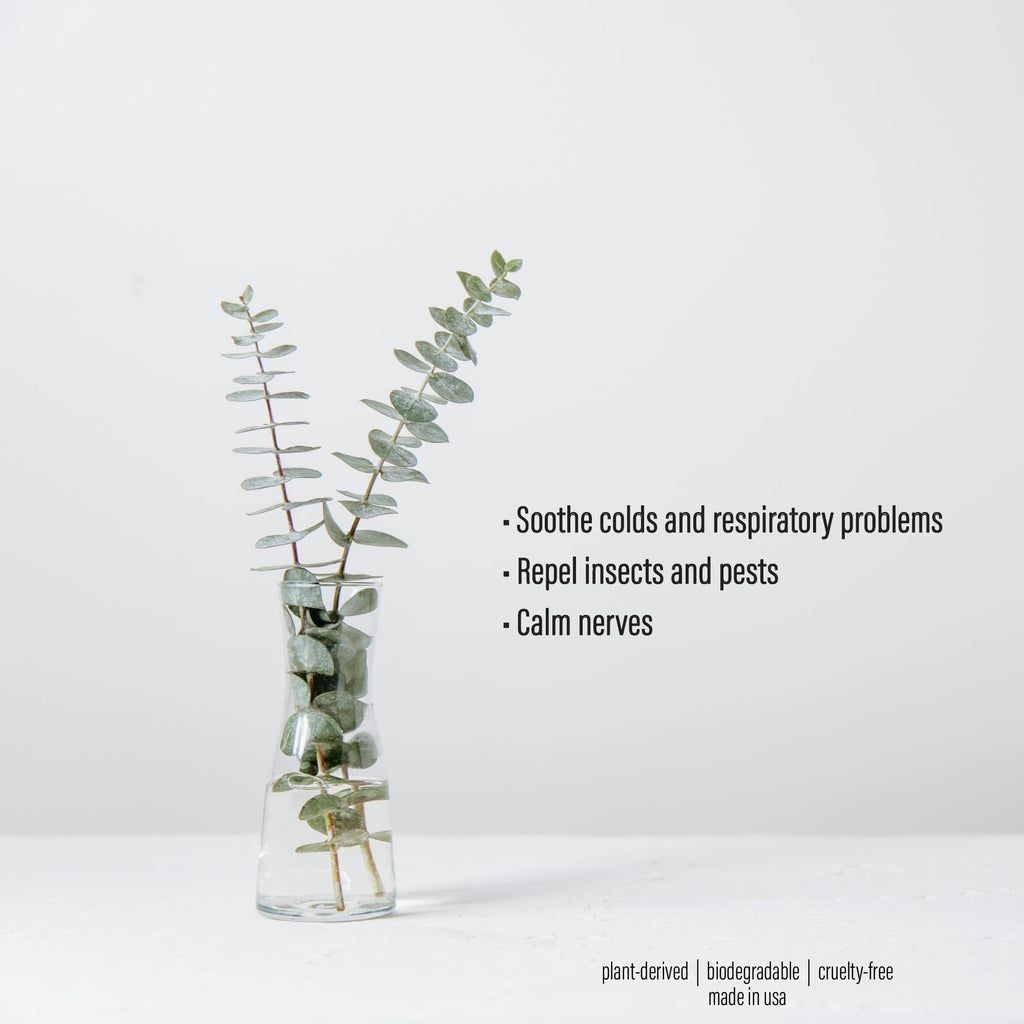 Pure Eucalyptus Oil Shower Mist and Steam Room Spray 4 oz 2 Pack