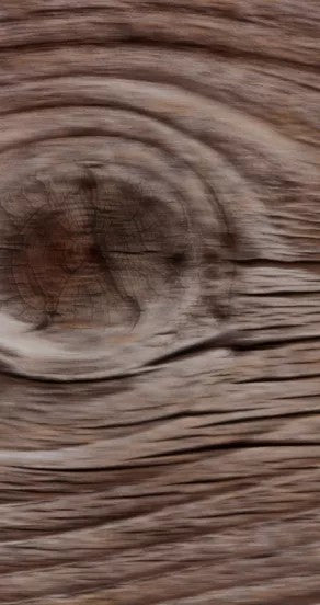 ego rex unisex perfume bottle on a minimalist marble surface with soft morning light