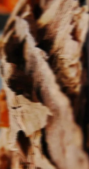 incognito spray perfume bottle on a sandy beach at sunset, evoking a serene summer breeze