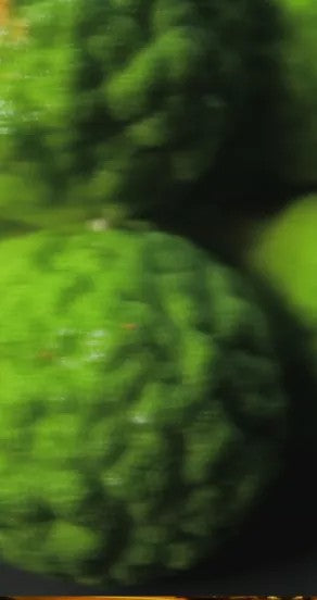 gift for her - nights in morocco perfume bottle glowing in warm desert sunset light