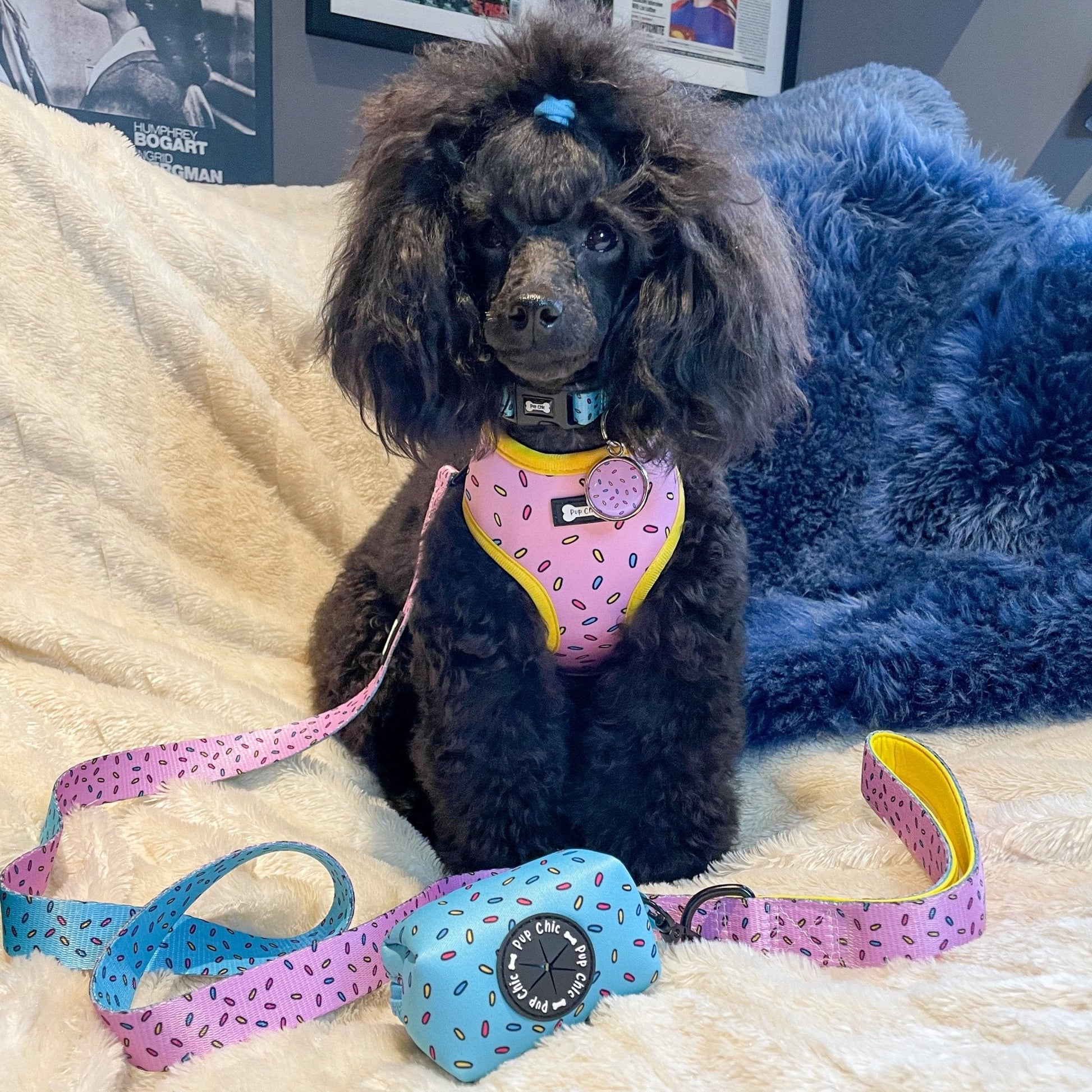 Sprinkles For Days Dog Collar in Pink or Blue