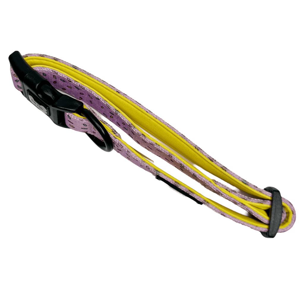 Sprinkles For Days Dog Collar in Pink or Blue