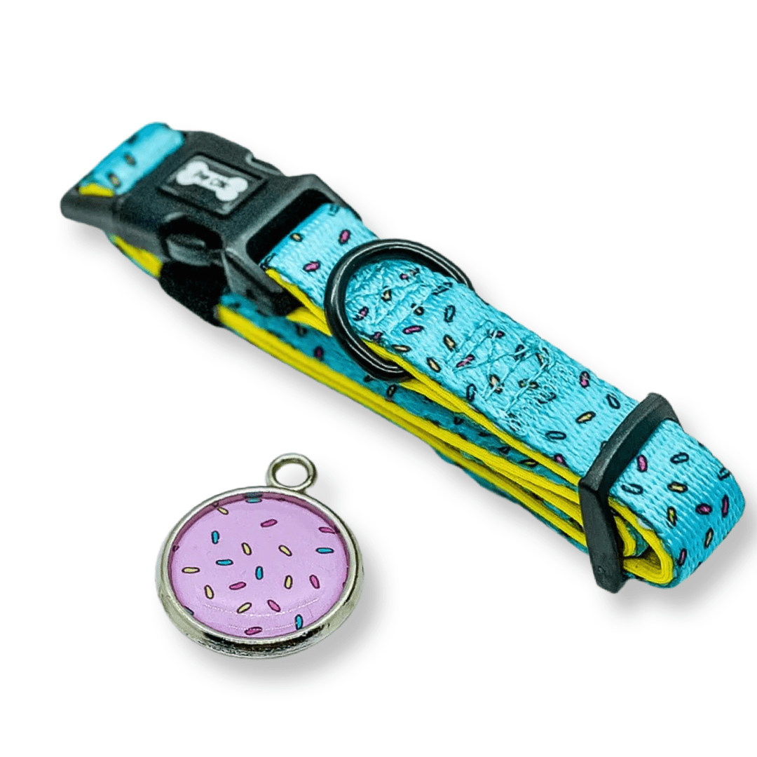 Sprinkles For Days Dog Collar in Pink or Blue