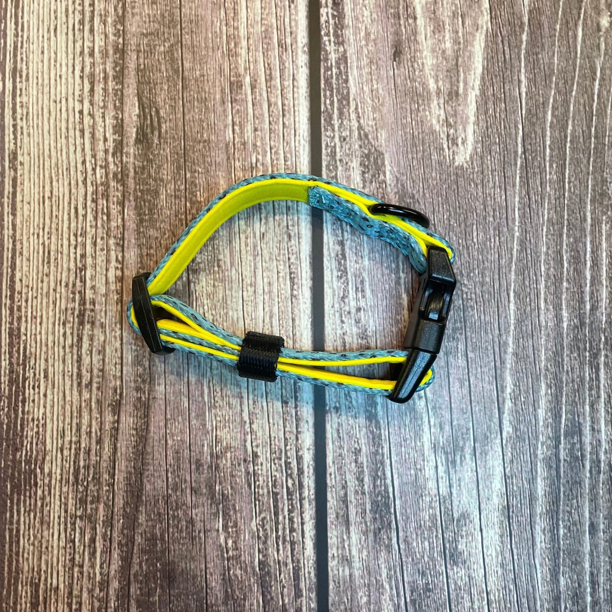 Sprinkles For Days Dog Collar in Pink or Blue