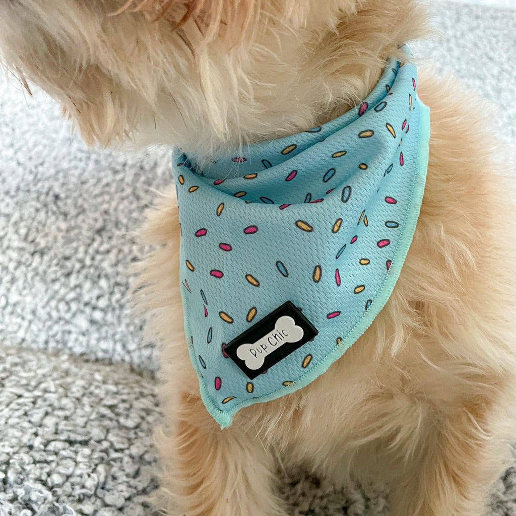 Sprinkles Cooling Bandana for Dogs in Blue