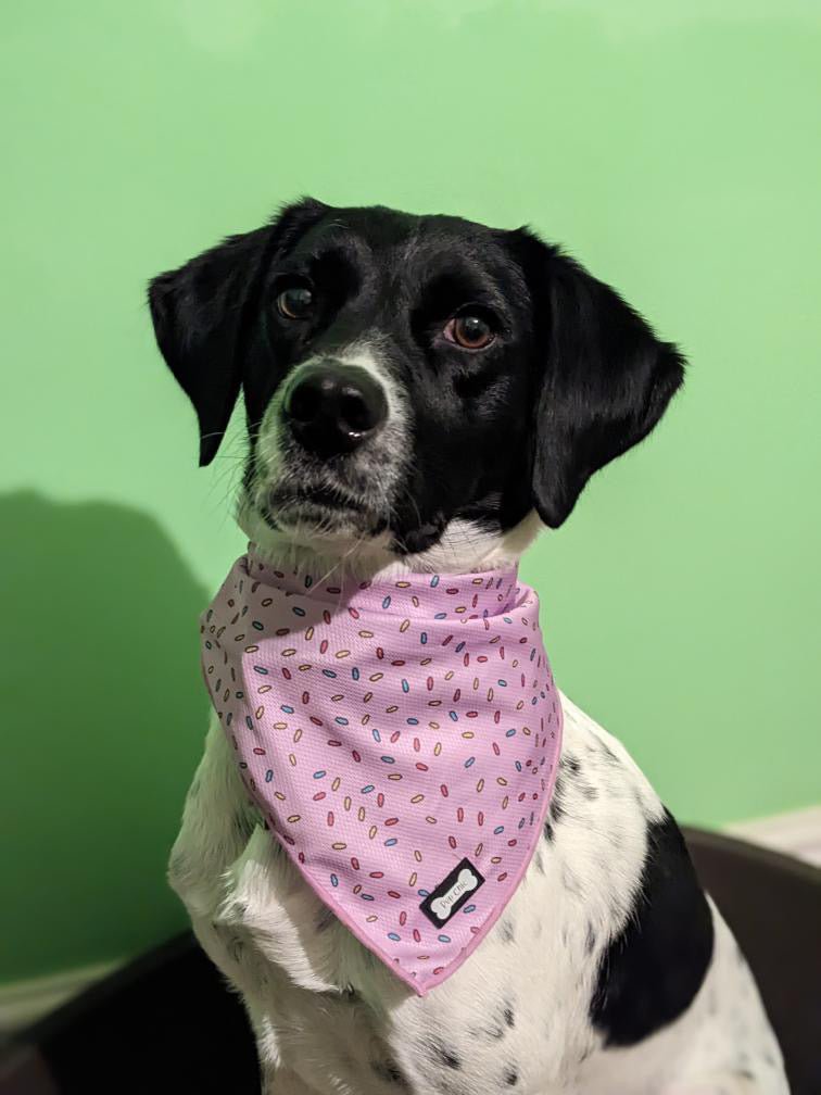 Sprinkles Cooling Bandana Pink