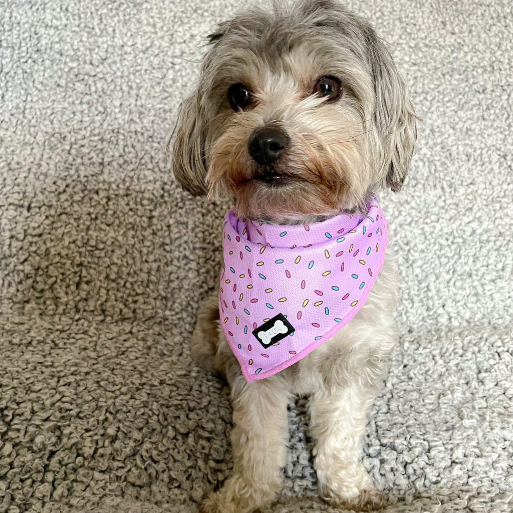 Sprinkles Cooling Bandana Pink